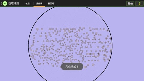 细胞实验室汉化版下载