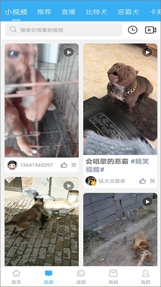 猛犬俱乐部官方版下载