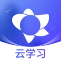 绚星云学习app官方手机版下载