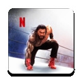 wwe2k25手机版中文版下载