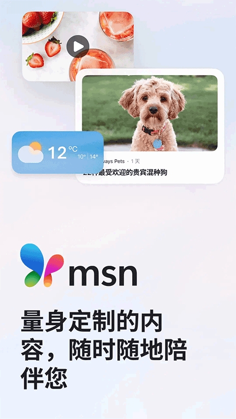 MSN手机版安卓版下载