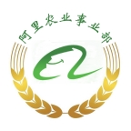全球新农app下载安装