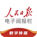 阅报栏12304 app下载官方版