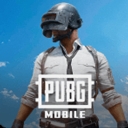 pubg国际服下载