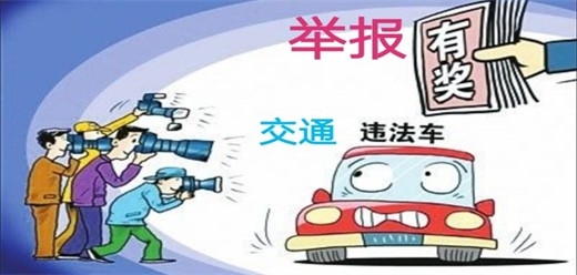 随手拍违章挣钱是哪个软件
