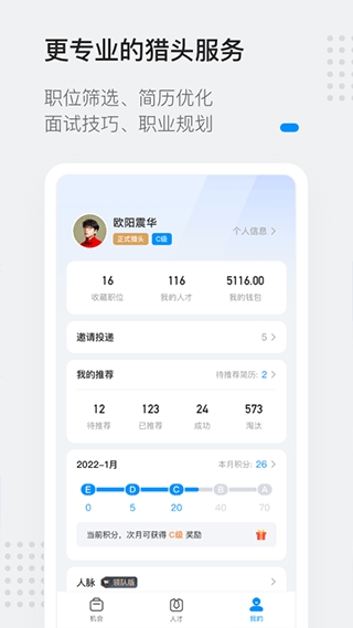 灵鸽下载安装