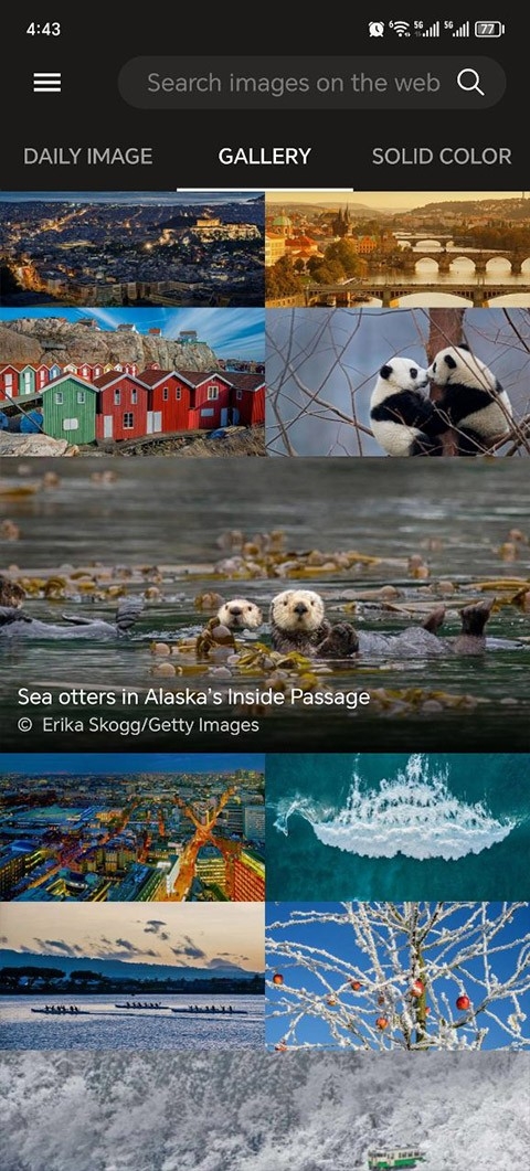 必应壁纸手机版下载安装