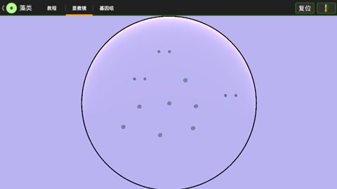 细胞实验室汉化版下载