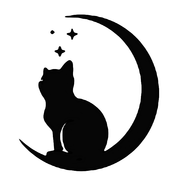 飞猫伴侣官方正版app下载