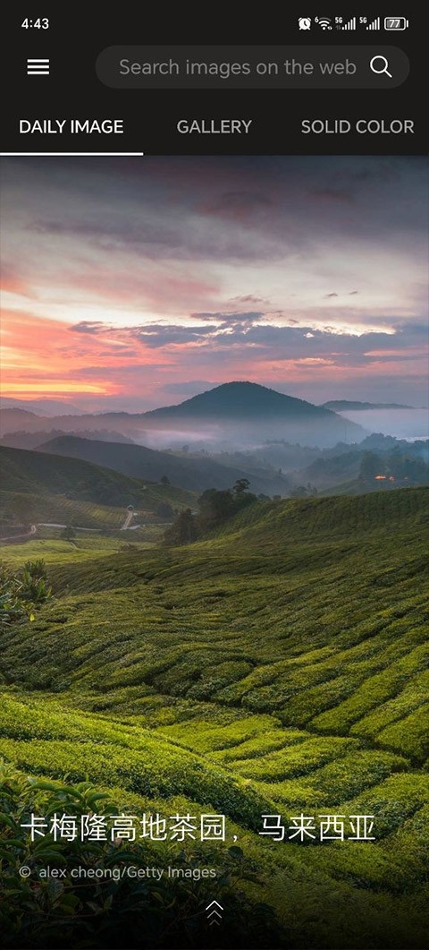 必应壁纸手机版下载安装